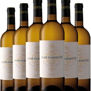 José Pariente Verdejo Rueda 75 cl Vino blanco Caja de 6 Botellas de 75 cl